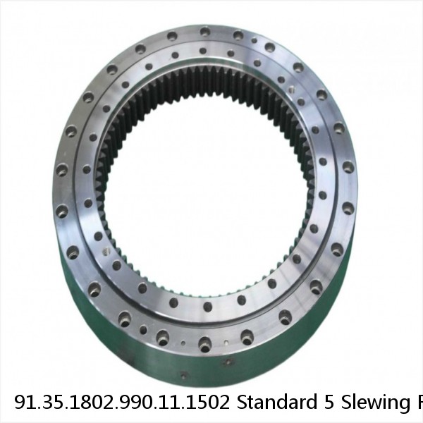 91.35.1802.990.11.1502 Standard 5 Slewing Ring Bearings