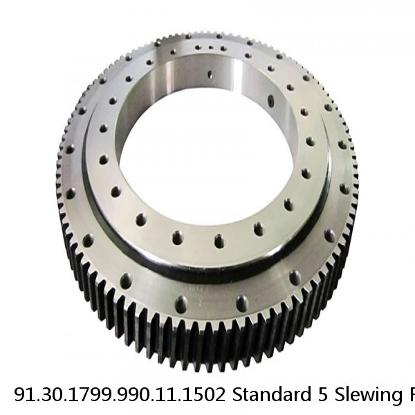 91.30.1799.990.11.1502 Standard 5 Slewing Ring Bearings