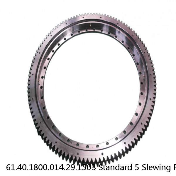 61.40.1800.014.29.1503 Standard 5 Slewing Ring Bearings