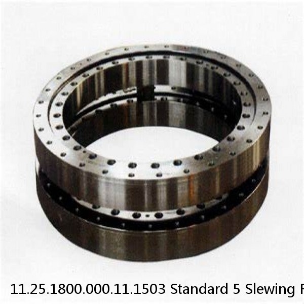 11.25.1800.000.11.1503 Standard 5 Slewing Ring Bearings