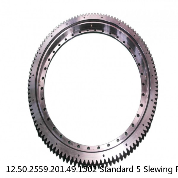 12.50.2559.201.49.1502 Standard 5 Slewing Ring Bearings