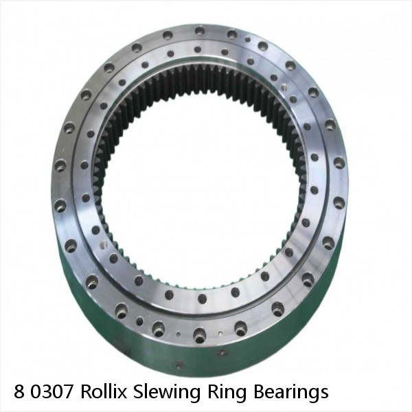 8 0307 Rollix Slewing Ring Bearings