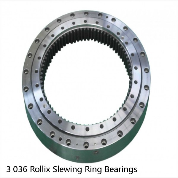 3 036 Rollix Slewing Ring Bearings