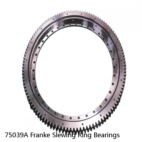 75039A Franke Slewing Ring Bearings