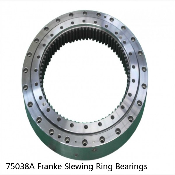 75038A Franke Slewing Ring Bearings