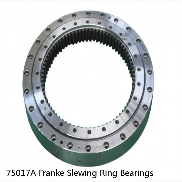 75017A Franke Slewing Ring Bearings