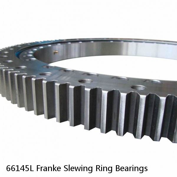 66145L Franke Slewing Ring Bearings